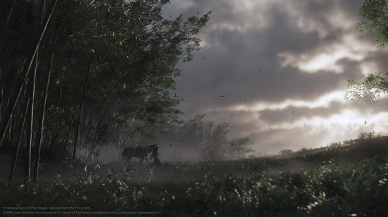 Een samoerai te paard te midden van bamboe en riet, met mistige achtergrond.