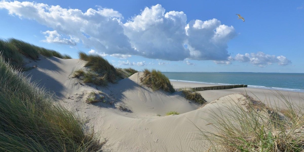 Fotobehang Burgh Haamstede duinen en strand 250 x 260 cm - € 175,--