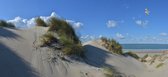Fotobehang duinen zee en strand  Burgh Haamstede 350 x 260 cm
