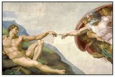 Schepping van Adam, Michelangelo Buonarroti - Foto op Akoestisch paneel - 90 x 60 cm