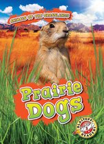 Animals of the Grasslands - Prairie Dogs