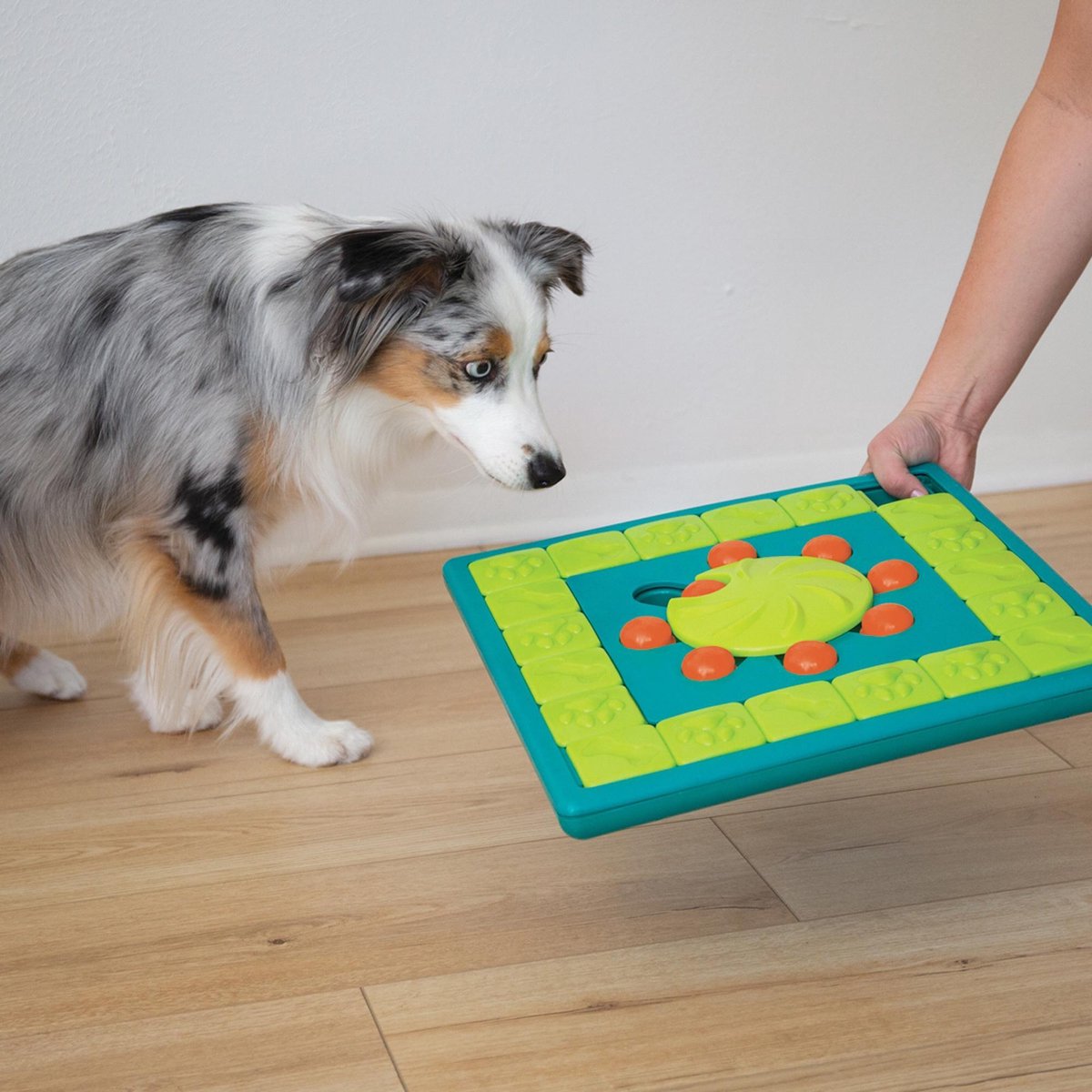 Interactive Dog Toys Hide-and-Seek: Treat-Dispensing Puzzle For Mental Stimulation