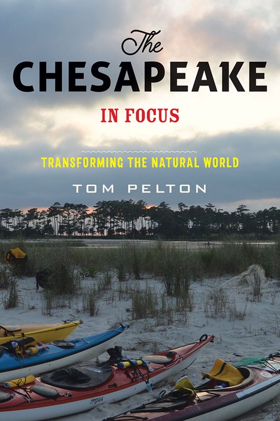 The Chesapeake in Focus - cover