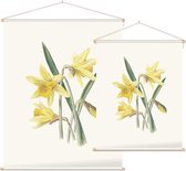Gele Narcis (Daffodil) - Foto op Textielposter - 60 x 80 cm