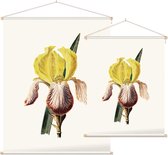 Iris (Iris White) - Foto op Textielposter - 60 x 80 cm