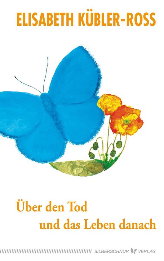 Über den Tod und das Leben danach - cover