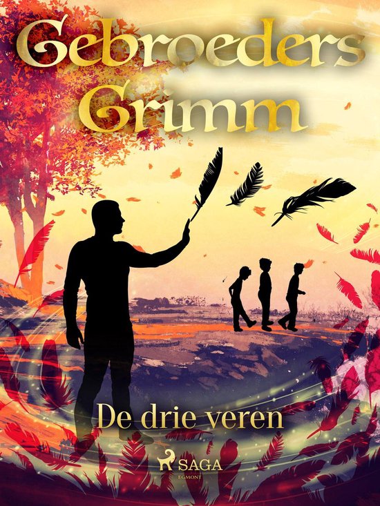 Grimm's sprookjes 29 - De drie veren - cover