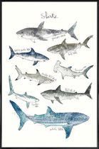 JUNIQE - Poster in kunststof lijst Haaien illustratie -60x90 /Blauw &