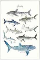JUNIQE - Poster in kunststof lijst Haaien illustratie -60x90 /Blauw &