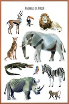 JUNIQE - Poster met kunststof lijst Animals of Africa -60x90 /Bruin &
