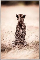 JUNIQE - Poster met kunststof lijst Still Leopard -40x60 /Bruin