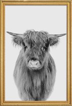 JUNIQE - Poster met houten lijst Young Highland Cow Classic -20x30