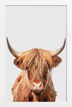 JUNIQE - Poster in houten lijst Highland Cow -30x45 /Bruin