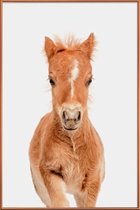 JUNIQE - Poster met kunststof lijst Foal -60x90 /Bruin