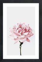 JUNIQE - Poster in houten lijst Peony Pink and Grey -40x60 /Ivoor &