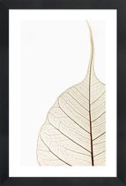 JUNIQE - Poster in houten lijst Translucent Leaf -60x90 /Wit