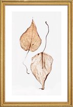 JUNIQE - Poster met houten lijst Delicate Leaves -20x30 /Bruin & Groen