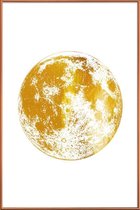 JUNIQE - Poster met kunststof lijst Lunar gouden -20x30 /Goud & Wit