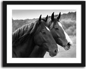 Foto in frame , 2  zwarte paarden ​, 70x100cm , Zwart wit  , Premium print