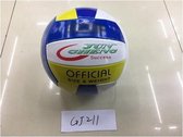 Volleybal official