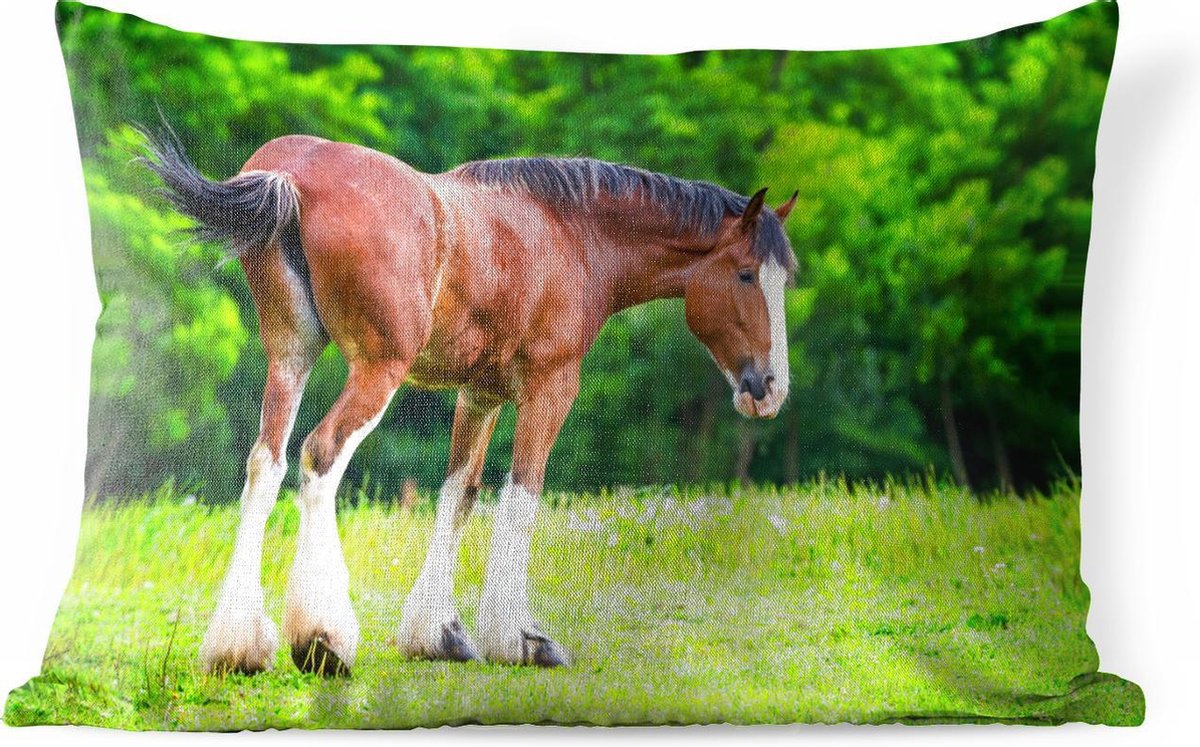 Buitenkussens - Tuin - Bruin Clydesdale paard in het grasland - 50x30 cm - PillowMonkey