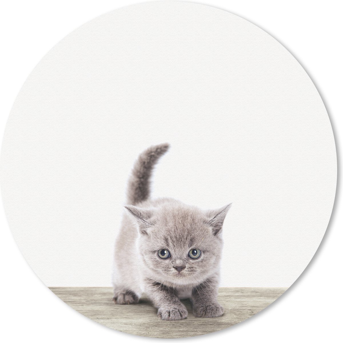 Muismat Animalprintshop - Kitten dierenprint Muismat rond - 30x30 cm - Muismat met foto