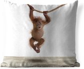Sierkussen Animalprintshop voor buiten - Baby orang oetan dierenprint - 60x60 cm - vierkant weerbestendig tuinkussen / tuinmeubelkussen van polyester