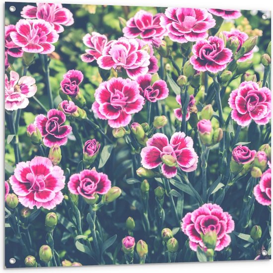 Tuinposter – Roze Bloemetjes in de Lente - 100x100cm Foto op Tuinposter  (wanddecoratie voor buiten en binnen)