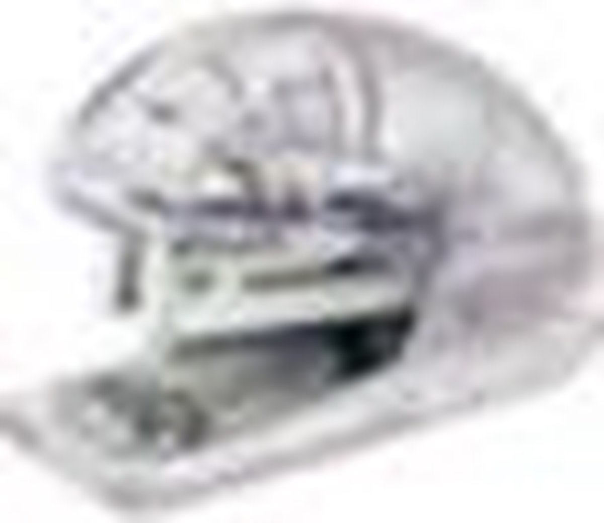 NIETMACHINE 10VEL BABY-RAY RAPID