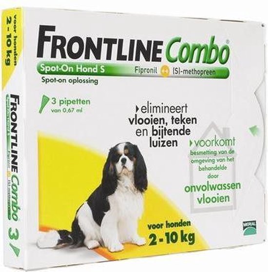 Frontline