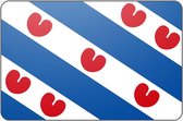 Vlag Friesland - 70 x 100 cm - Polyester