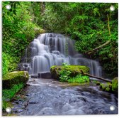 Tuinposter – Watervallen in Felgroen Bos - 50x50cm Foto op Tuinposter  (wanddecoratie voor buiten en binnen)