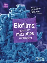 Carnets de sciences - Biofilms, quand les microbes s'organisent