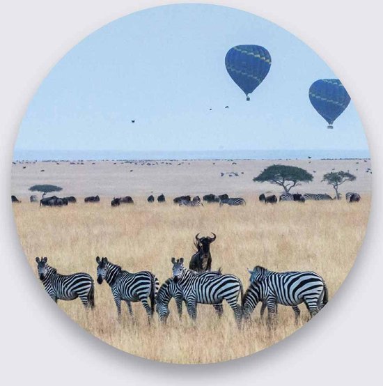 Schilderij - zebra's - Collectie wildlife - Pure Metal - 30x30cm
