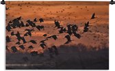 Wandkleed Kraanvogel - Een groep kraanvogels bij zonsondergang Wandkleed katoen 120x80 cm - Wandtapijt met foto