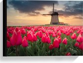 Canvas  - Felroze Tulpenveld voor Nederlandse Molen - 40x30cm Foto op Canvas Schilderij (Wanddecoratie op Canvas)