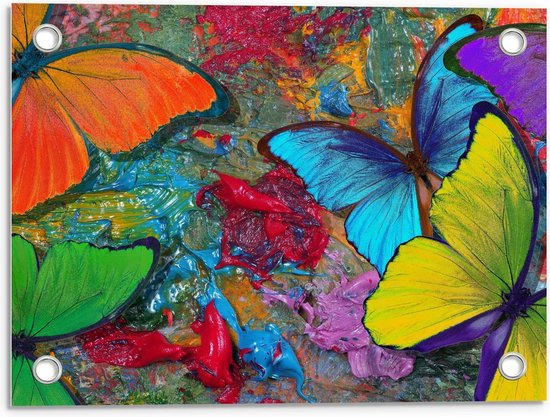 Tuinposter – Schilderij van Felkleurige Vlinders - 40x30cm Foto op Tuinposter  (wanddecoratie voor buiten en binnen)