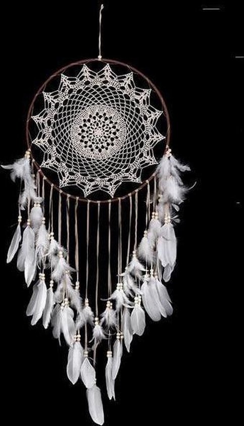 9782501109802: Attrape-rêve et cie: Pour une déco nature au fil des saisons: 316