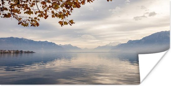 Poster Visser dobberend op het Meer van Genève