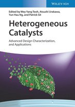 Heterogeneous Catalysts