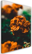 Schilderij Oranje bloemen, 2 maten, groen-oranje