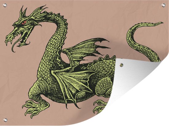 Tuin decoratie Illustratie een middeleeuwse draak - 40x30 cm | bol.com