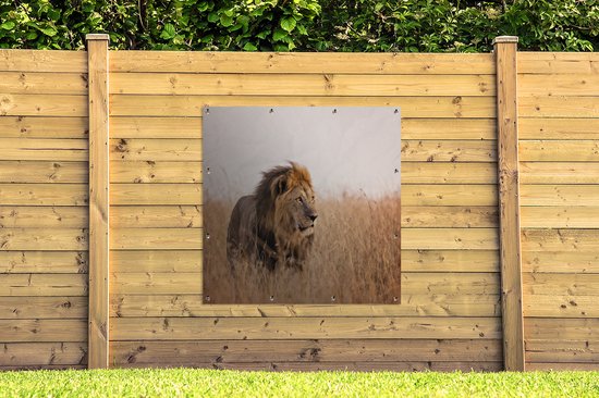 Lion regarde la lumière du soleil au Kenya affiche de jardin toile lâche
