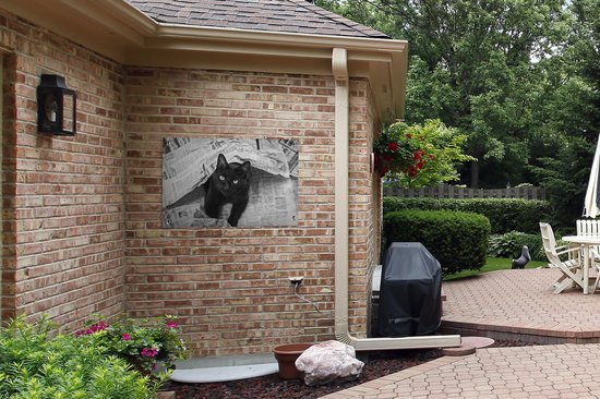 Affiche de jardin Chat noir entre les journaux Toile en vrac 90x60 cm - Toile de jardin / Toile d'extérieur / Peintures pour l'extérieur (décoration de jardin)