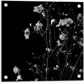 Tuinposter – Zwart - Wit Foto van Bloementak - 50x50cm Foto op Tuinposter  (wanddecoratie voor buiten en binnen)