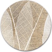 Wandcirkel Leaf Texture op hout - WallCatcher | Multiplex 100 cm rond | Houten muurcirkel blad textuur