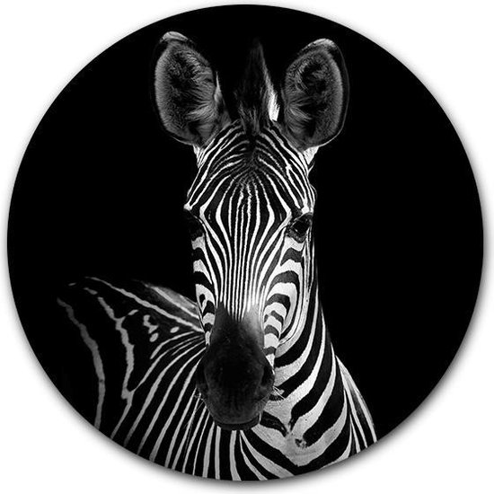Wandcirkel Zebra Portret op hout - WallCatcher | Multiplex 80 cm rond | Ronde schilderijen | Houten muurcirkel Zebra Portait