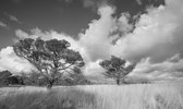 Fotobehang Hoge Veluwe