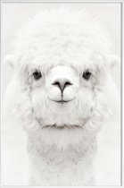 JUNIQE - Poster in kunststof lijst Lachende Alpaca -30x45 /Wit