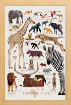 JUNIQE - Poster in houten lijst Vintage Afrika -60x90 /Kleurrijk
